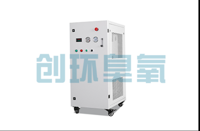 龙岩工厂化养鲈必看:2026年臭氧发生器替代传统消毒的最新方案