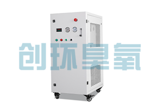 龙岩石斑鱼养殖水质调控完整指南：臭氧发生器配置与操作步骤