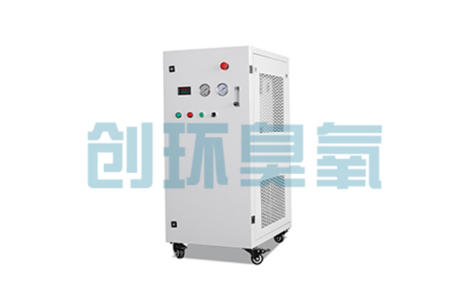 龙岩比传统换水更高效？臭氧发生器在石斑鱼养殖中的水质净化原理解析